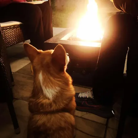 Np House- Social Hotel&coworking By Networking Premium, Free Shuttle