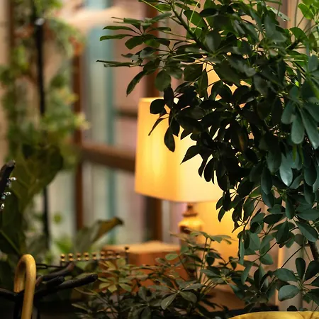 Odaya Social Hotel Bansko