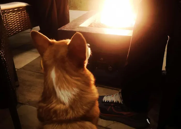 Odaya & Coworking By Np House