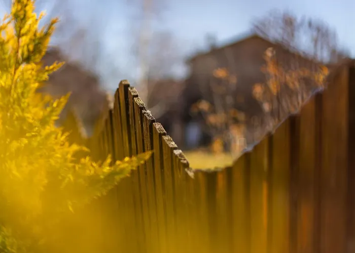 Отель Odaya & Coworking By Np House Банско