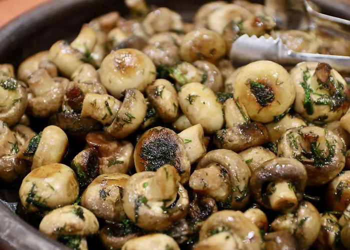 Hotel Odaya & Coworking By Np House